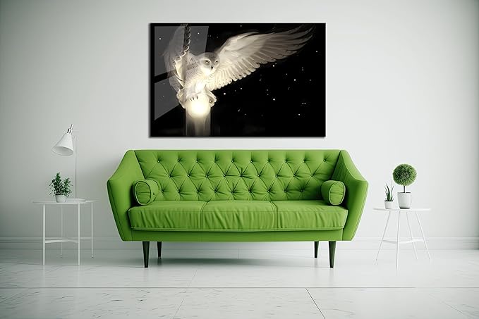 SpiritualHands White Owl Tempered Glass Wall Art Painting for Living Room, Tempered Glass Modern Prints Decor, Large Vivid Color Panel for Bedroom, Kitchen, or Office