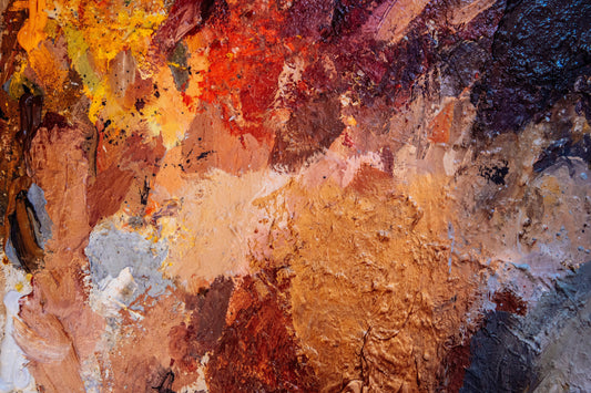 A Beginner's Guide to Professional Extra Fine Oil Paints