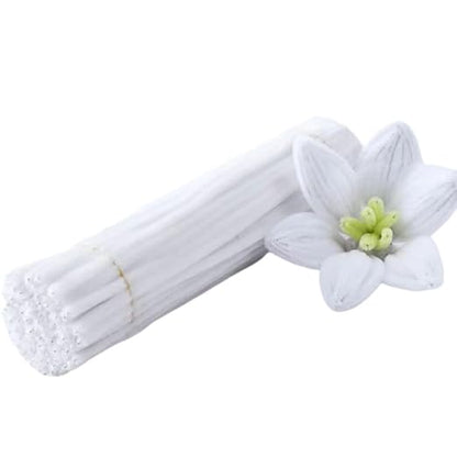 100 Pieces Pipe Cleaners Chenille Stem, Solid White Color Pipe Cleaners Set for Pipe Cleaners DIY Arts Crafts Decorations, Chenille Stems Pipe Cleaners (White)