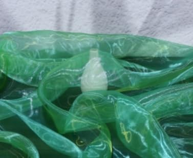 Two-Tone Iridescent Holographic Organza Fabric - 11 Yards by The Yard | Lightweight Sheer Tulle | for Wedding Dresses, Party Decor, DIY Crafts, Shiny Backdrops(Grass Green + hint of Yellow)