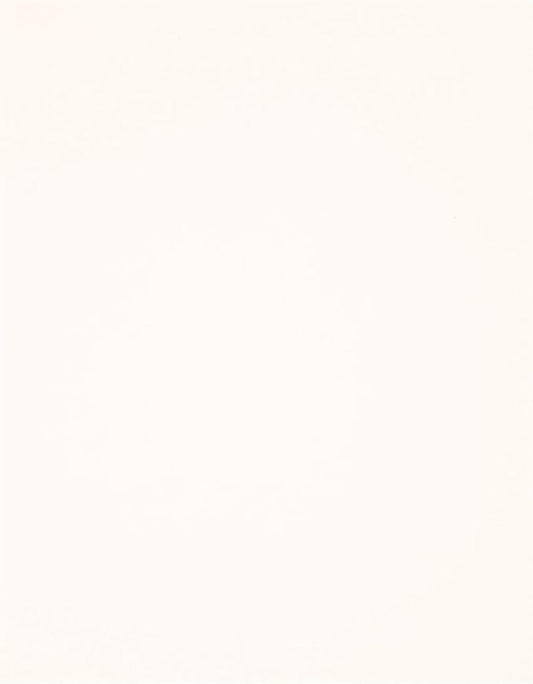 PA Paper Accents Stash Builder Textured Cardstock 8.5" x 11" Snow White, 65lb Colored cardstock Paper for Card Making, Scrapbooking, Printing, Quilling and Crafts, 25 Piece Pack