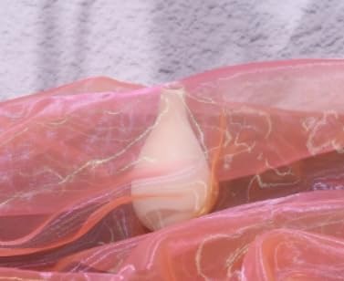Two-Tone Iridescent Holographic Organza Fabric - 5.5 Yards by The Yard | Lightweight Sheer Tulle | for Wedding Dresses, Party Decor, DIY Crafts, Shiny Backdrops(Fluorescent Pink-Yellow)