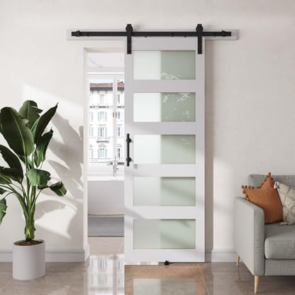 SMARTSTANDARD 30" x 84" Glass Barn Door by SMARTSTANDARD