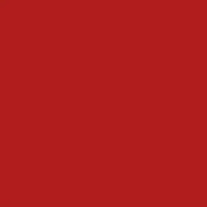 Chalkboard Blackboard Paint - Brush on Wood, Metal, Glass, Wall, Plaster Boards Sign, Frame or Any Surface. Use with Chalk Pen Wet Erase, Non-Toxic - Matte Finish [Red] - (8.5oz Cover 32 sf)