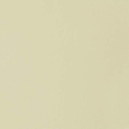 Liquitex Professional Heavy Body Acrylic Paint, 2-oz (59ml) Tube, Parchment