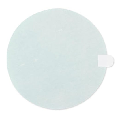 BHA 5” Green Film PSA Self Adhesive Sanding Discs - 50 Pack - Wet/Dry, Sticky Back, Premium Aluminum Oxide for Long-Lasting, Low-Dust & Load Resistant Sanding and Surface Finishing - 600 Grits