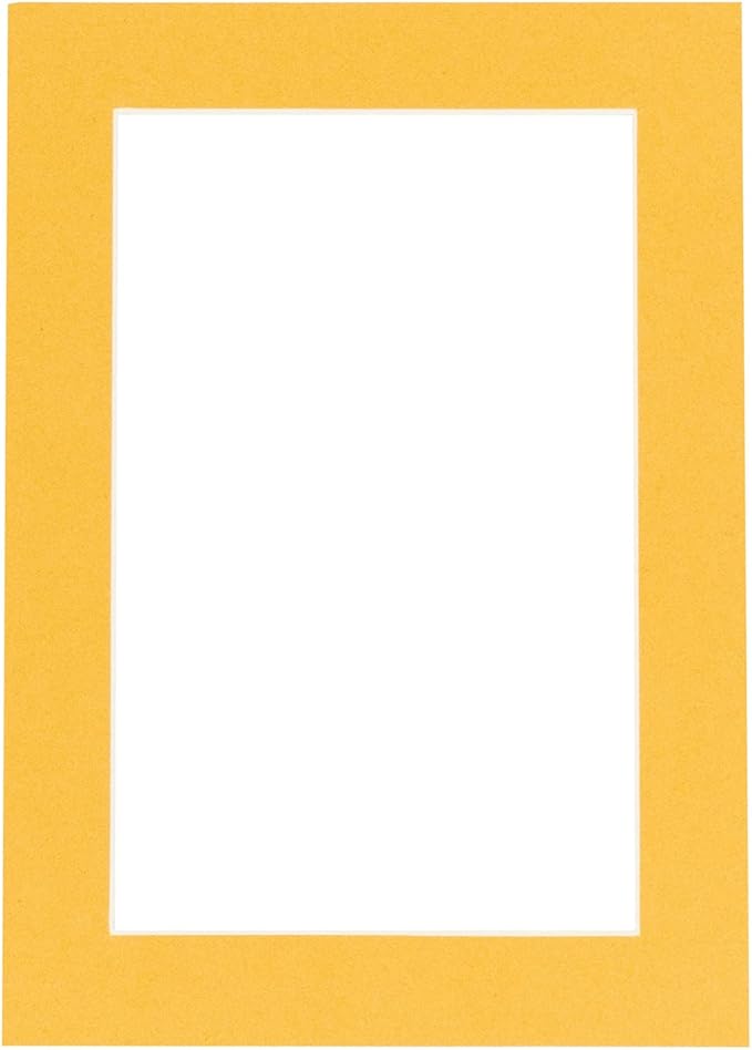 Pack of TEN 11x14 Mats Bevel Cut for 8.5x11 Photos - Acid Free Topaz Orange Precut Matboards For Pictures, Photos, Framing - 4-ply Thickness