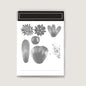 2025-2026 Stamps and Dies for Card Making, Stamps and Dies Set 2025 for Christmas and Halloween, Die Cut DIY Various Festivals Album Scrapbooking Birthdays Greeting Card (M4308)