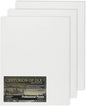 Centurion Deluxe Professional Oil Primed Linen Canvas Panels - 8x16-3 Pack of Linen Canvases for Painting, Artwork and More