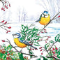 20-ct 13x13 Christmas Paper Decoupage Napkins, 3-Ply Servilletas Tissue Napkin for Dinner and Parties, Disposable Napkins (Winter Tits)