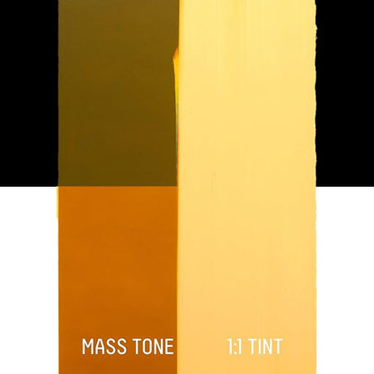 Liquitex Professional Heavy Body Acrylic Paint, 2-oz (59ml) Tube, Transparent Raw Sienna