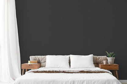 EVOLVE Paint & Primer: Environment-friendly, Low Sheen with One-coat Coverage for Interior & Exterior surfaces (Black Iron, 1-Gallon)