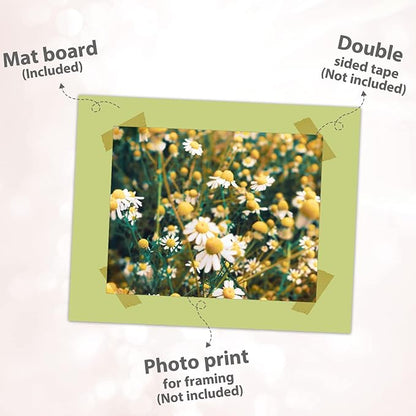 Golden State Art, 8x10 Matboard Mat Board Blanks - Assortment Color Uncut Mats for DIY Projects, Presentation Boards, Art Crafts (20 Pack)