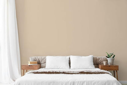 EVOLVE Paint & Primer: Environment-friendly, Low Sheen with One-coat Coverage for Interior & Exterior surfaces (Natural Beige, 1-Gallon)