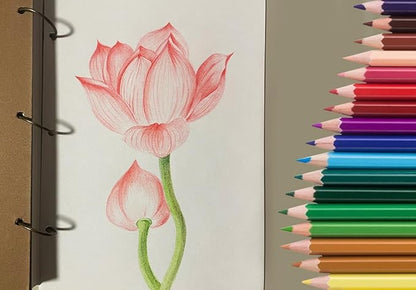 SKKSTATIONERY 50Pcs Colored Pencils,50 Vibrant Colors, Drawing Pencils for Sketch, Arts, Coloring Books, Back to school Christmas Halloween Gifts