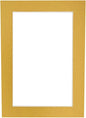 8x10 Mat Bevel Cut for 5x8 Photos - Acid Free Metallic Gold Precut Matboard With Backing Board and Crystal Clear, Self Seal Photo Mat Bag - For Pictures, Photos, Framing - 4-ply Thickness