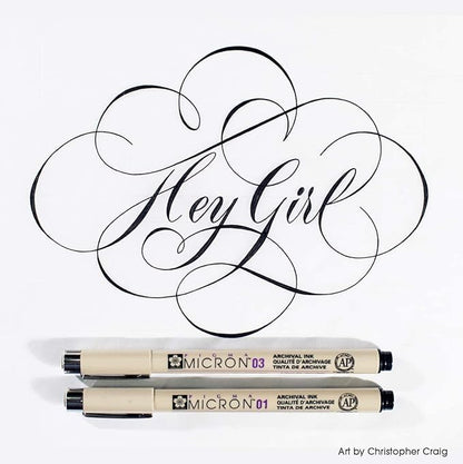 SAKURA Pigma Micron Fineliner Pens - Archival Black Ink Pens - for Writing, Drawing, or Journaling - Assorted Point Sizes - 10 Pack