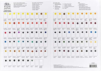 Winsor & Newton Professional Watercolour Dot Card, 1 Count (Pack of 1), All Colors