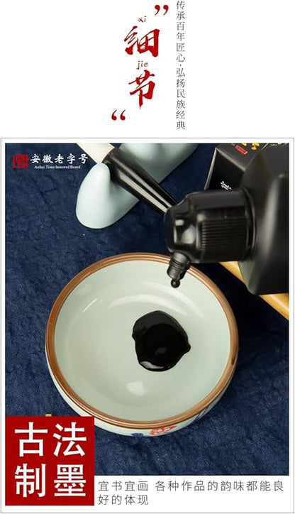 Sumi Ink, Chinese Calligraphy Ink, Liquid Black Carbon Ink, Manga Ink (500ml (17oz), Black)