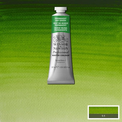 Winsor & Newton Professional Watercolor, 37ml (1.25-oz) Tube, Permanent Sap Green