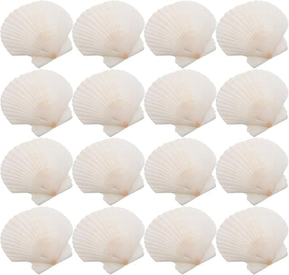 GLEAVI Scallop Shells for Crafts: 21pcs Natural Scallop Shells Bulk 3.14 Inch Sea Shell Decoration for Ocean Themed Parties and Home Decor