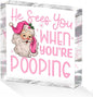 Funny Santa Desk Decor Acrylic Sign 4X4 Inch, Humorous Christmas Decorations Desk Signs for Toilet Cubicle Room Bathroom, Gag Gifts for Women Men Friends