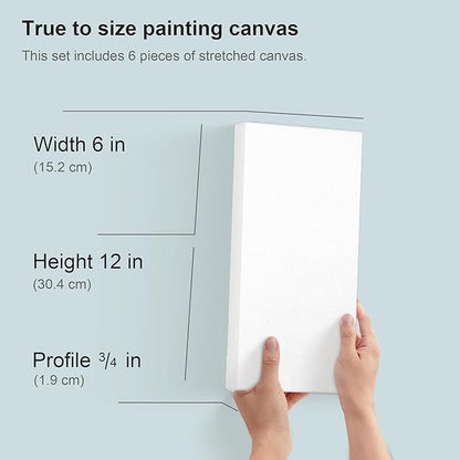PHOENIX 6x12 Inch 6 Pack Artist Canvas - Small Rectangle Canvases for Painting - 3/4 Inch Profile, 100% Cotton 11 Oz. Gesso Primed White Blank Professional Canvas Oil & Acrylic Paints