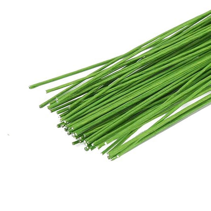 Decora 24 Gauge Green Floral Wire Green Paper-Wrapped Floral Stem Wires for Crafts 16 inch,50/Package