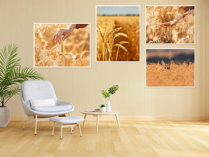 30 Pack White Foam Board 12" x 16.5", 3/16" Foam Core Baking Board for Projects, A3 Polystyrene Mat Board Poster Foam Board Sheets for Art Crafts, Presentation, Wedding, School Projects