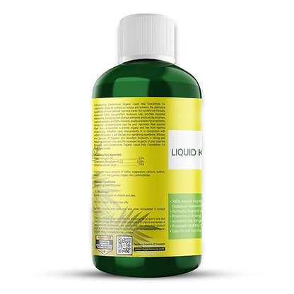 Organic Premium Kelp Seaweed Fertilizer for Jasmin - Liquid Fertilizer - Liquid Plant Food - Nutrient-Rich Soil Enhancer - Natural Plant Food for Jasmin (32 OZ)