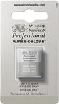 Winsor & Newton Professional Water Colour Paint, Half Pan, Davy's Gray