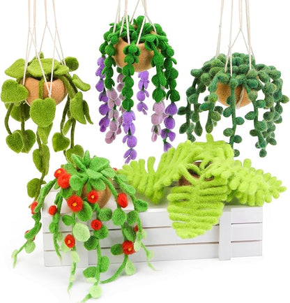 OEHPICC Needle Felting Kit, 5 Pack Hanging Plants Needle Felt Beginner Kit, Including Basic Felting Tools, Instructions, Felt Craft Kit for Indoor Outdoor Office and Home Decor