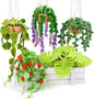 OEHPICC Needle Felting Kit, 5 Pack Hanging Plants Needle Felt Beginner Kit, Including Basic Felting Tools, Instructions, Felt Craft Kit for Indoor Outdoor Office and Home Decor