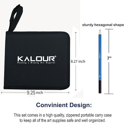 KALOUR 33 Pro Drawing Kit Sketching Pencils Set,Portable Zippered Travel Case-Charcoal Pencils, Sketch Pencils, Charcoal Stick,Sharpener,Eraser.Art Supplies for Artists Beginner Adults Teens