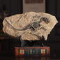 XINDAM Resin Dinosaur Fossil Statue Model Simulated Skeleton Home Office Display Decorative Craft Box Decoration (Style 2)