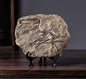 XINDAM Resin Dinosaur Fossil Statue Model Simulated Skeleton Home Office Display Decorative Craft Box Decoration (Style 3)