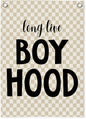 Boys Room Decor,Boys Room Wall Decor Hanging Flag Decor for Toddler Nursery,Playroom,Bedroom,Long Live Boyhood Canvas Banner 18x25 Inch