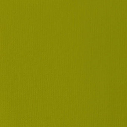 Liquitex BASICS Acrylic Paint, 118ml (4-oz) Tube, Light Olive Green