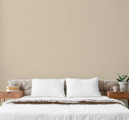 EVOLVE Paint & Primer: Environment-friendly, Low Sheen with One-coat Coverage for Interior & Exterior surfaces (Beach Beige, 1-Gallon)