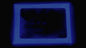 Glow in The Dark Pigment Powder - Neutral and Fluorescent Color for Art Painting, Fine Art, Nail Art Paint, and DIY Crafts - Long Lasting 10+ Color Options - Neutral Dark Blue - (30 Grams/1 Ounce)