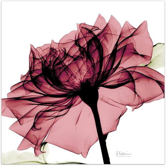 Empire Art Direct Frameless Free Floating Tempered Glass Panel Graphic Wall Art Ready to Hang, 24" x 24", Chianti Rose I, Red Flower Art