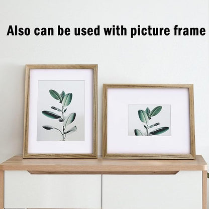 Egofine Pack of 5 White Mat Board Pre-Cut 8x10 Picture Mat for 5x7 Photo with White Core Bevel Cut Mattes Sets. Includes 5 High Premier Acid Free Mats & 5 Backing Board & 5 Clear Bags