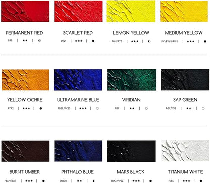 MEEDEN Artist Oil Paint Set - 12 Colors x 170ml/5.7oz Tubes - Art Supplies for Canvas Painting