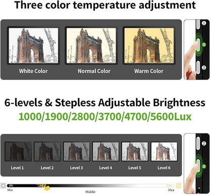 Zocelight Rechargeable A3 Light Box for tracing,Diamond Art Light Board with 4 Magnets,Wireless Light Pad for Diamond Painting,Ultra Bright Light Table for Drawing, Sketching,Animation(Black)