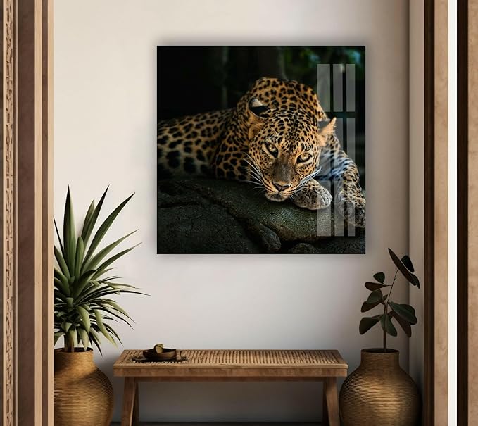 My Photostation.com Round 31,5'' Fierce Leopard Glass Wall ArtTempered Glass Printing Wall Decor Large Wall Art Wall Hangings