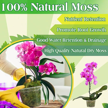 Halatool 9OZ Green Moss for Potted Plants, 12QT Orchid Moss Potting Mix, Forest Moss for Indoor Plants, Indoor Potting Plant Moss for Repotting Terrariums Garden Reptiles