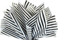 Flexicore Packaging Black Pin Stripe Print Gift Wrap Tissue Paper Size: 15 Inch X 20 Inch | Count: 50 Sheets | Color: Black Pin Stripe