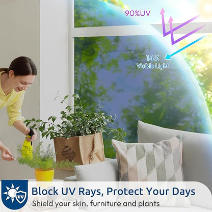 rabbitgoo Window Privacy Film One Way Window Tint for Home, Removable Reflective Heat Sun Blocking Anti UV Glass Door Covering, Mirror Tinting Film House Office, 17.5 in X 6.5 Feet, Blue Silver
