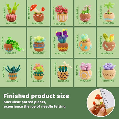 Needle Felting Kit, 15 Pcs Succulent Beginner Needle Felting Kit, Needle Felting Tools, Wool Felting Kit Including Wool Roving, Foam Mat, Felting Needles and Instructions for Diy Felting Starters