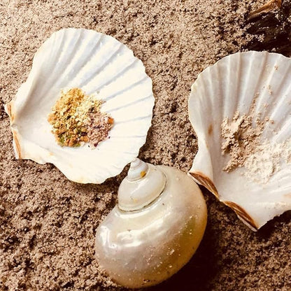 6PCS Scallop Shells for Serving Food,Baking Shells Large Natural White Scallops from Sea Beach for DIY Craft Decor 4-5 Inches